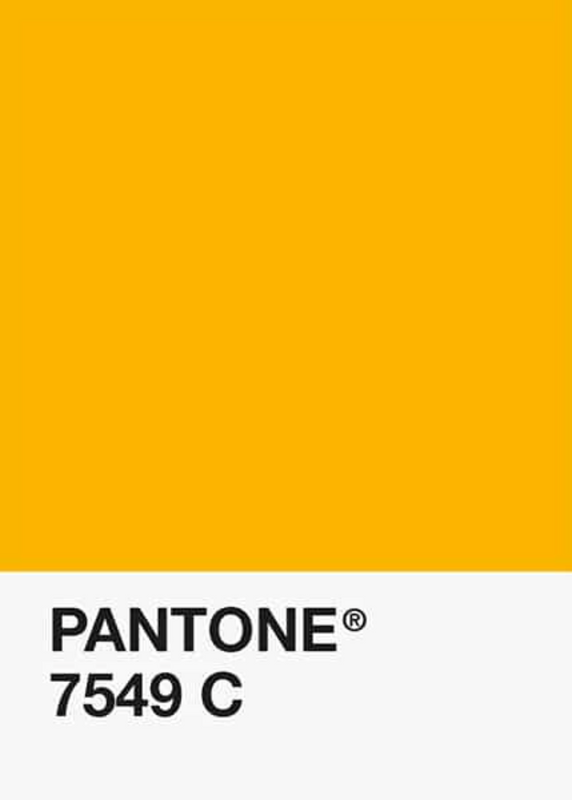 PLA-Jaune-D-Oeuf-Classique-Pantone-DKU001999-objet.png