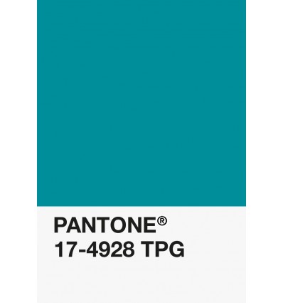 PA12-GF- Turquoise Foncé-17-4928-TPG-DKU006440-nuancier.png