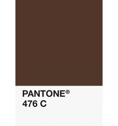 PA12-GF- Marron/Chocolat-476-C-DKU006472-nuancier.png