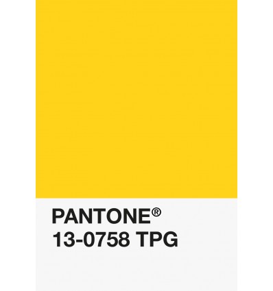 PA12-GF- Jaune Soleil-13-0758-TPG-DKU006494-nuancier.png