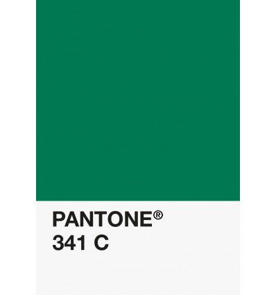 PA12-GF- Vert Bouteille-341-C-DKU006534-nuancier.png