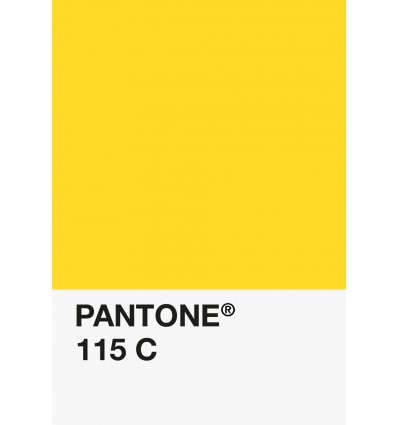 PA12-GF- Jaune Citron-115-C-DKU006356-nuancier.png