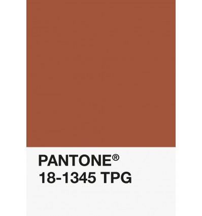 PA12-GF- Cannelle/Rouille-18-1345-TPG-DKU006378-nuancier.png