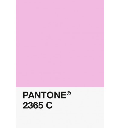 PA12-GF- Rose Bonbon-2365-C-DKU006390-nuancier.png