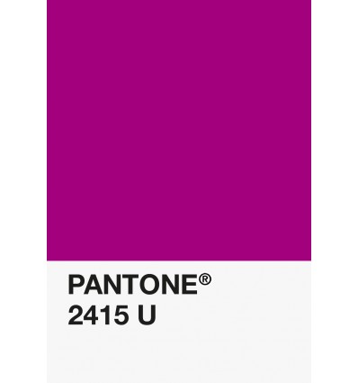 PA12-GF- Magenta-2415-U-DKU006392-nuancier.png